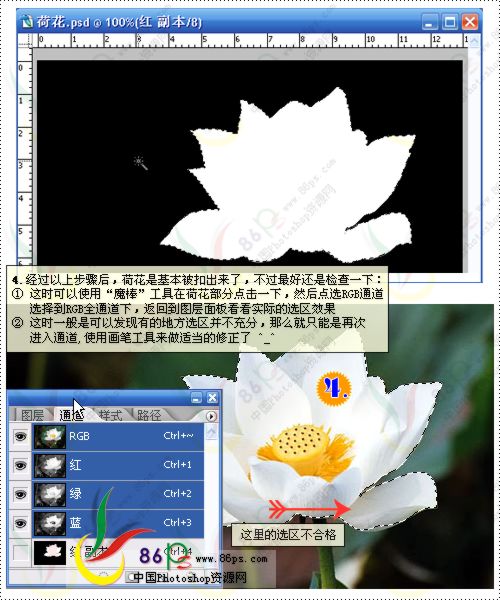 花卉照片处理 Photoshop照片处理教程_脚本之家jb51.net转载