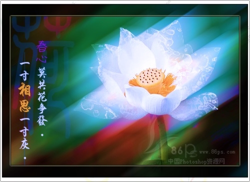 花卉照片处理 Photoshop照片处理教程_脚本之家jb51.net转载