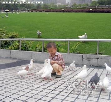 Photoshop轻松实现照片拼接