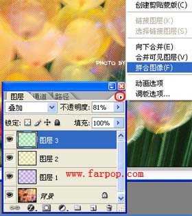 用Photoshop简单抽丝做特色非主流图片_脚本之家jb51.net转载