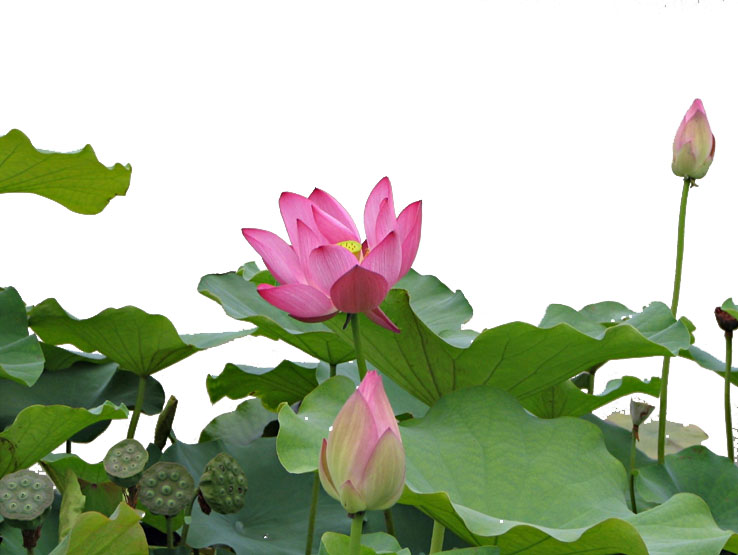 Photoshop制作古典韵味的MM签名特效_脚本之家jb51.net