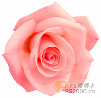 Photoshop简单制作幸福花香MM签名_脚本之家jb51.net网络整理