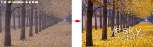 Photoshop教程:简单处理照片