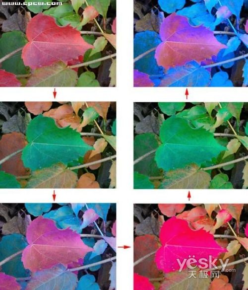 Photoshop教程:简单处理照片