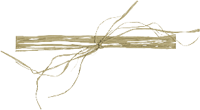 Photoshop 制作经典的潮流风格签名