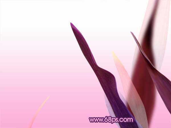 Photoshop 打造一张漂亮的郁金香壁纸