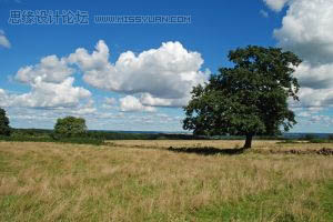 photoshop 多图合成一张欧美古典插画