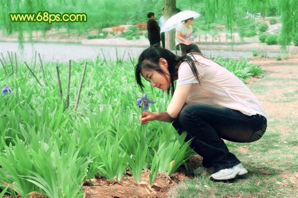 Photoshop 调出外景照片鲜艳的绿色调