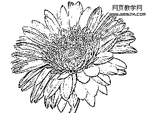 Photoshop 滤镜将彩色图片转变为黑白线描画