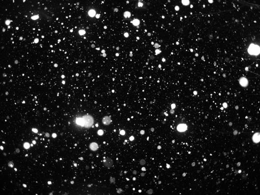 Photoshop 超经典的雪域天使