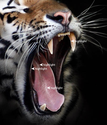 Photoshop 巧妙的消除背景突出主体