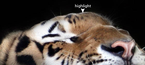 Photoshop 巧妙的消除背景突出主体