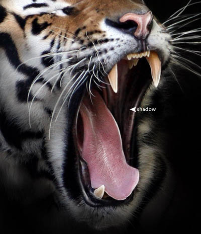 Photoshop 巧妙的消除背景突出主体