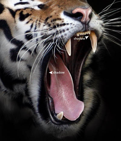 Photoshop 巧妙的消除背景突出主体