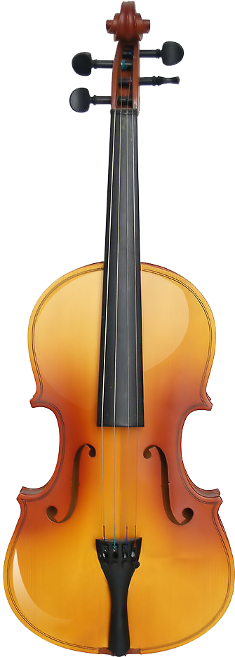 photoshop 用玫瑰装饰吉它效果