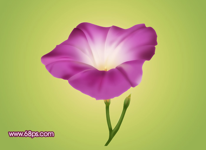 Photoshop 一朵漂亮的喇叭花”