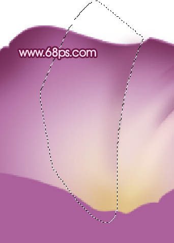 Photoshop 一朵漂亮的喇叭花