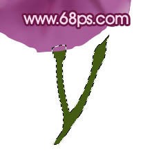 Photoshop 一朵漂亮的喇叭花