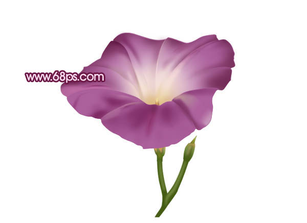 Photoshop 一朵漂亮的喇叭花