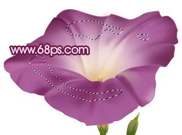 Photoshop 一朵漂亮的喇叭花