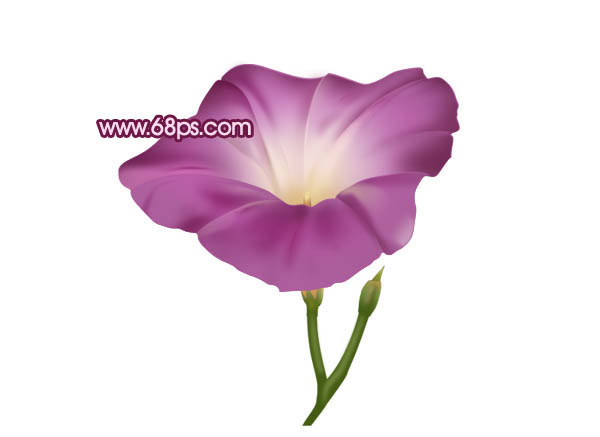 Photoshop 一朵漂亮的喇叭花