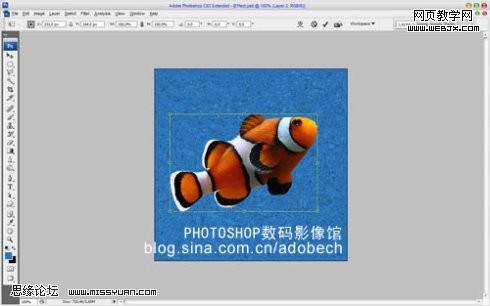 photoshop 深海中也有金鱼梦幻效果