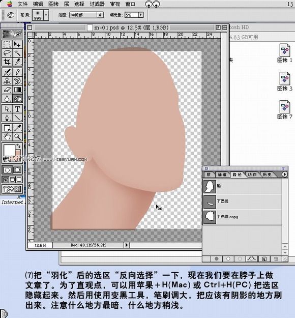 PhotoShop 鼠绘带面具的银发美女过程