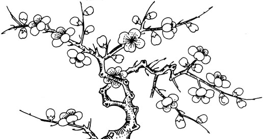 Photoshop 个性的卡通人物签名效果