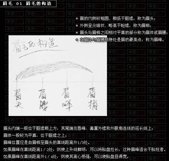 photoshop 鼠绘逼真的人物眉毛