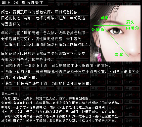 photoshop 鼠绘逼真的人物眉毛