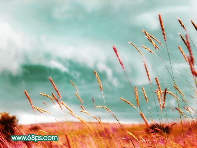 Photoshop打造风景照片柔美的青紫色