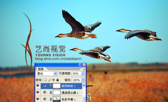 Photoshop 漂亮的青红色大雁起飞图