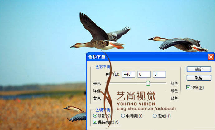 Photoshop 漂亮的青红色大雁起飞图