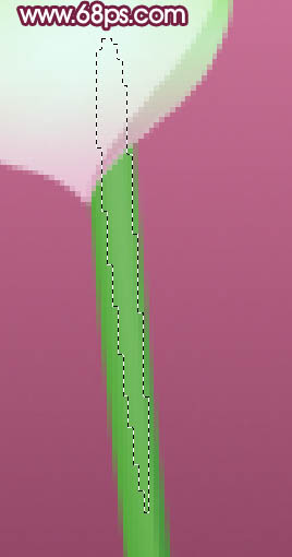 Photoshop漂亮的紫色荷花制作方法