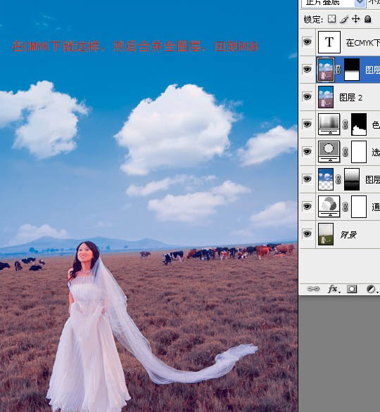 Photoshop 清晰开阔的蓝紫色草原婚片