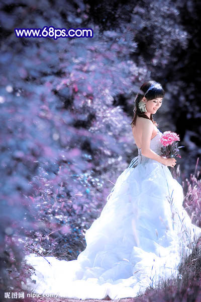 Photoshop调色教程 蓝紫色外景婚片