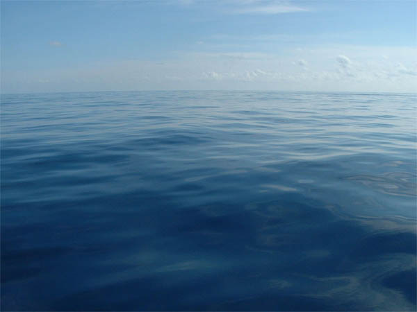 photoshop 将室内变成泳池并创意合成游泳的美女