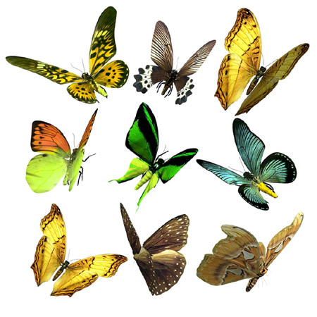 PS经典合成一个美丽女孩陶醉在草原上的场景