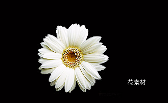 photoshop打造可爱的藤蔓花朵装饰的签名相框