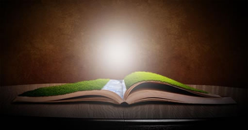 Photoshop合成充满幻想的书场景