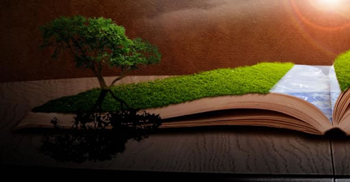 Photoshop合成充满幻想的书场景