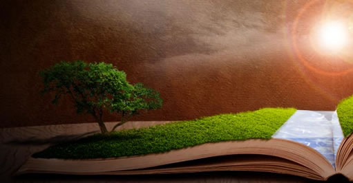 Photoshop合成充满幻想的书场景