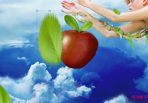 PS创意合成缠着藤蔓飞行的美女