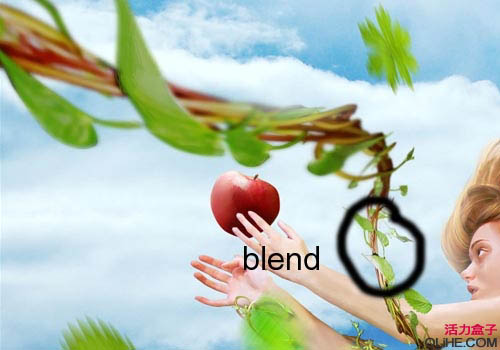 PS创意合成缠着藤蔓飞行的美女