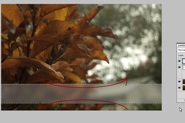 Photoshop 制作磨砂玻璃的文字说明