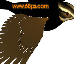 Photoshop打造一只可爱的金色小麻雀