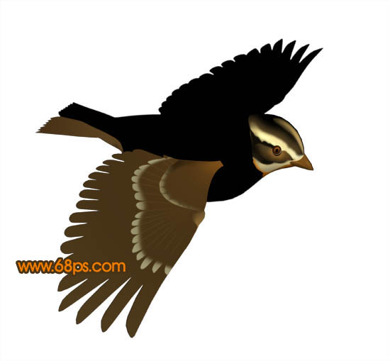 Photoshop打造一只可爱的金色小麻雀