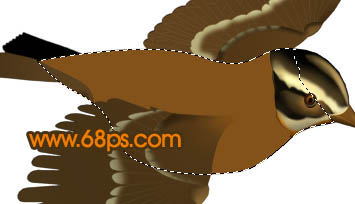 Photoshop打造一只可爱的金色小麻雀