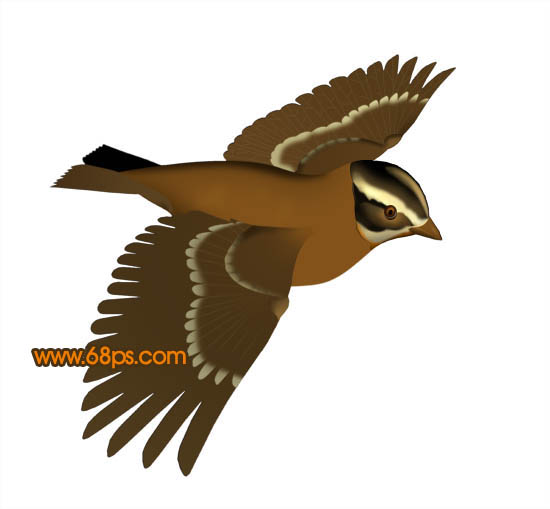 Photoshop打造一只可爱的金色小麻雀