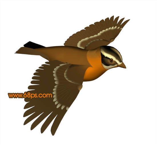 Photoshop打造一只可爱的金色小麻雀